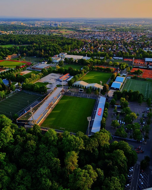 者和观众 者和观众