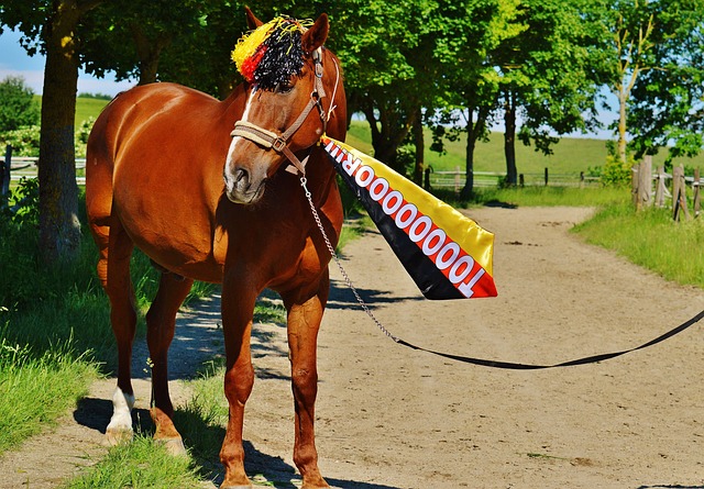 动装备店 动装备店