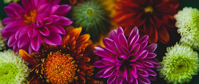 我们期待着 我们期待着