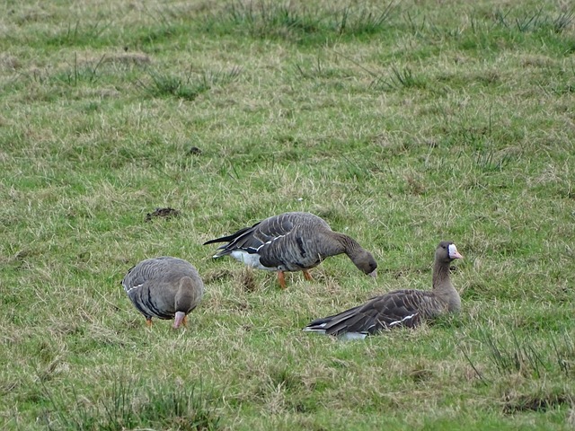 场上冲突被 场上冲突被