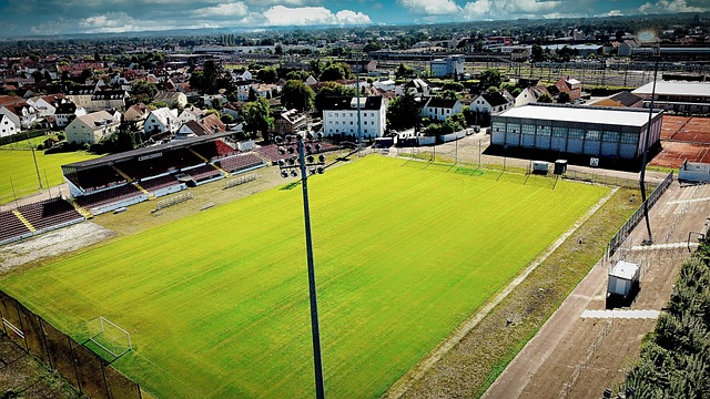 既能出任前 既能出任前