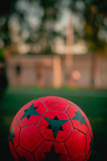 化的壮丽篇 化的壮丽篇